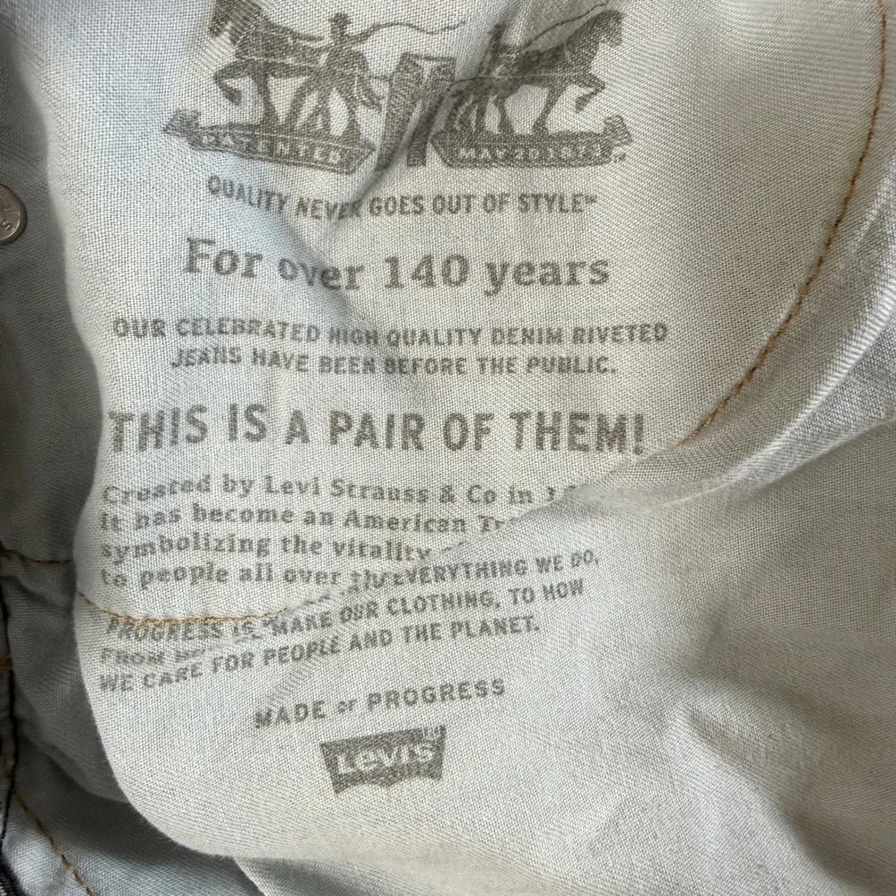 Levis levi 569